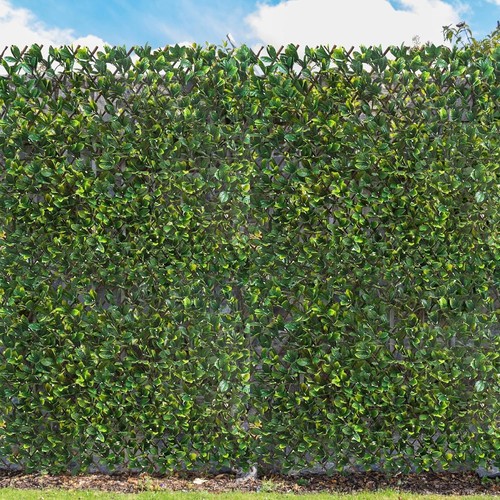 Expandable artificial laurel - expandable,